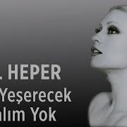 Seçil Heper Artık Yeşerecek Bir Dalım Yok