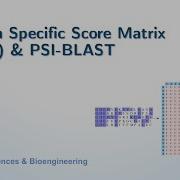 BSE633A PSI BLAST Position Specific Iterated BLAST