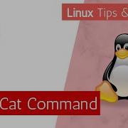 Linux Cat Command Tips And Tricks