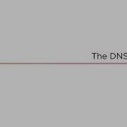 NodeJS DNS Module