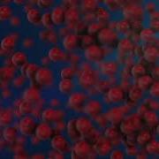 3D Replicator With AfterEffects And Element 3D