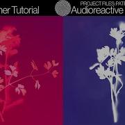 АУДИОРЕАКТИВНАЯ LUMEN ПЕЧАТЬ РУКОВОДСТВО TOUHDESIGNER