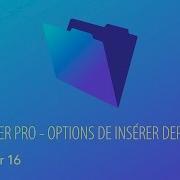 FileMaker Pro 16 Options De Insérer Depuis URL