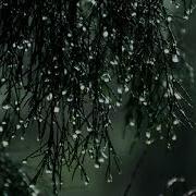 Yaroslav Nikitin And Sergey Kuznetsov Waltz Rain 1 Hour Version