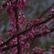 Itching And Sneezing A Longer Than Normal Allergy Season Is In Full Swing