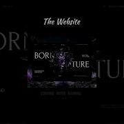Smooth Scroll Down Animation Elevate Your Website Design With CSS JavaScript