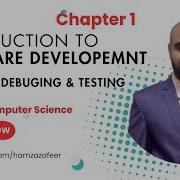 Software Debugging And Testing Types Of Testing Chapter 1 Computer Science Class 11