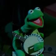 Rainbow Connection MuppetsStudio