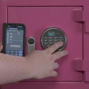 Securam ProLogic L02 ResetHeist Demo