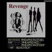 Revenge Pineapple Face REMIX CD Remaster 90s Dance Peter Hook