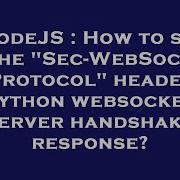 NodeJS How To Set The Sec WebSocket Protocol Header In Python Websocket Server Handshake Respons