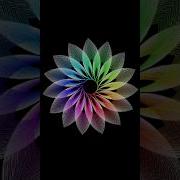 Mesmerizing Python Turtle Art Watch The Magic Unfold Python