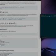 Installation Walkthrough Experience For Both Gitea And GitLab