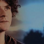 Paddy Casey Saints Sinners