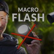 Flashes KILL Your Macro Photography Learning