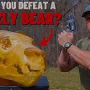 Could You Defeat A GRIZZLY BEAR
