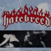 Hatebreed Not One Truth