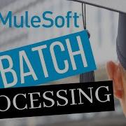 Mule ESB Batch Processing Batch Job Certification Interview Questions Mule 4 MuleSoft