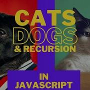 Cats Dogs And RECURSION In Javascript