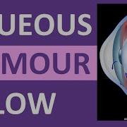 Aqueous Humour Eye Circulation Flow Animation Open Angle Vs Closed Angle Glaucoma