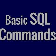 Basic SQL Commands In A Data Base In 1 Minute