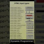 HTML Input Tags Expert With 5 Years Experience Shares Top Tips