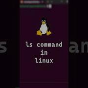 1 10 Basic Linux Commands Ls Command Explained In 20 Seconds Shorts Linux