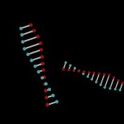 Adobe Animate 63 DNA Animation Shape Tween Classic Tween And Nested Symbol