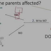 Как решить любую родословную не читая вопрос USMLE