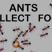 Ants Search For Food Simulation