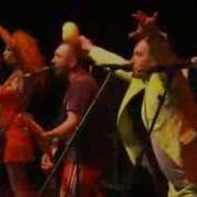 Leningrad Live Sziget Festival 2013