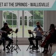 Isn T She Lovely Stevie Wonder String Quartet Cover