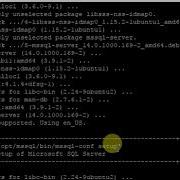 Install SQL Server 2017 On Ubuntu Linux