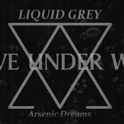 Liquid Grey Love Under Will Official Video