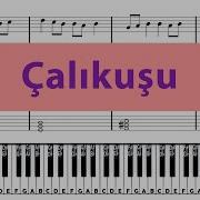 Çalıkuşu How Easy It Is To Play Slow Рace Songs For Beginners Esin Engin