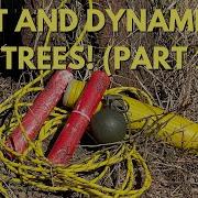 TNT Dynamite And Other High Explosives VS Trees Part 2 Topshottreeservice
