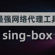 瑞士军刀 放弃fakeip 拥抱realip 最强网络代理工具sing Box新手指南 从此不知DNS泄漏 DNS污染为何物 软路由插件homeproxy 奈飞DNS解锁 Sniff流量嗅探覆写解析