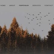 Awesome Strikethrough Menu Hover Effect CSS Menu Hover Effect