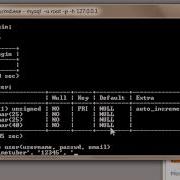 MySQL Tutorial For Beginners 2 Adding Data To Tables In A Database