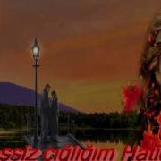 Seyfi Doganay Kim Vurduya Gitti Ömrüm