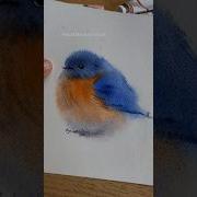 5 Mins Cute Bird Watercolor Painting Easywatercolorart Watercolourpaint Birdwatercolor