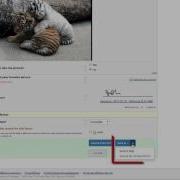 4 REDCap Data Entry