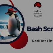 RHCSA 2025 Bash Scripting 5 Red Hat Certified System Administration