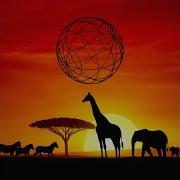 They Don T Care About Us Afro Soul