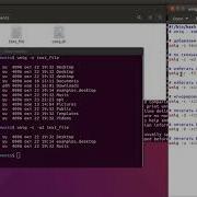 Linux Command Uniq Processing Of Unique And Repeating Lines