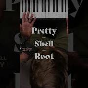 Root Shell Pretty