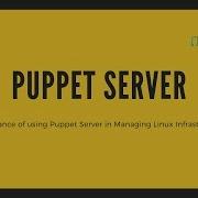 Introduction Importance Of Puppet In Managing Linux Infrastructure