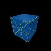 Clever Mold Simulation Physarum