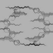 Vector Field Animation