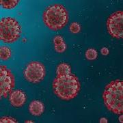 COVID 19 Corona Virus Loop Animated Background Royalty Free Footage Free Motion Background Loops